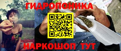 ГАЛЛЮЦИНОГЕННЫЕ ГРИБЫ Северобайкальск