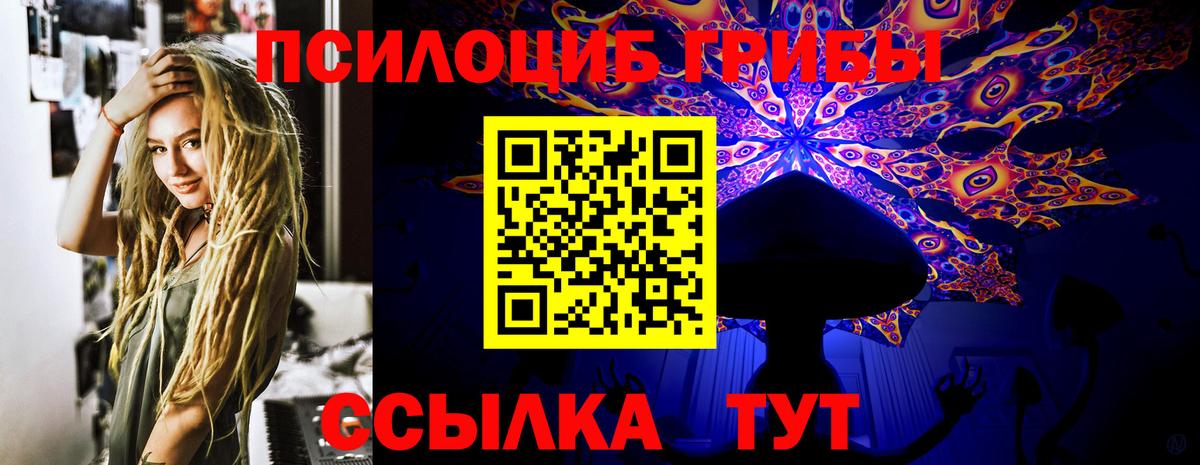 Рославль  Псилоцибиновые грибы ЛСД  Вход с VPN  наркотики  Псилоцибиновые грибы мухоморы 